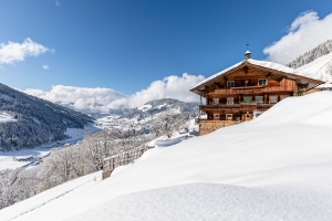 landscape_Niederau_Wildschönau_©ski_juwel_alpbachtal_wildschoenau